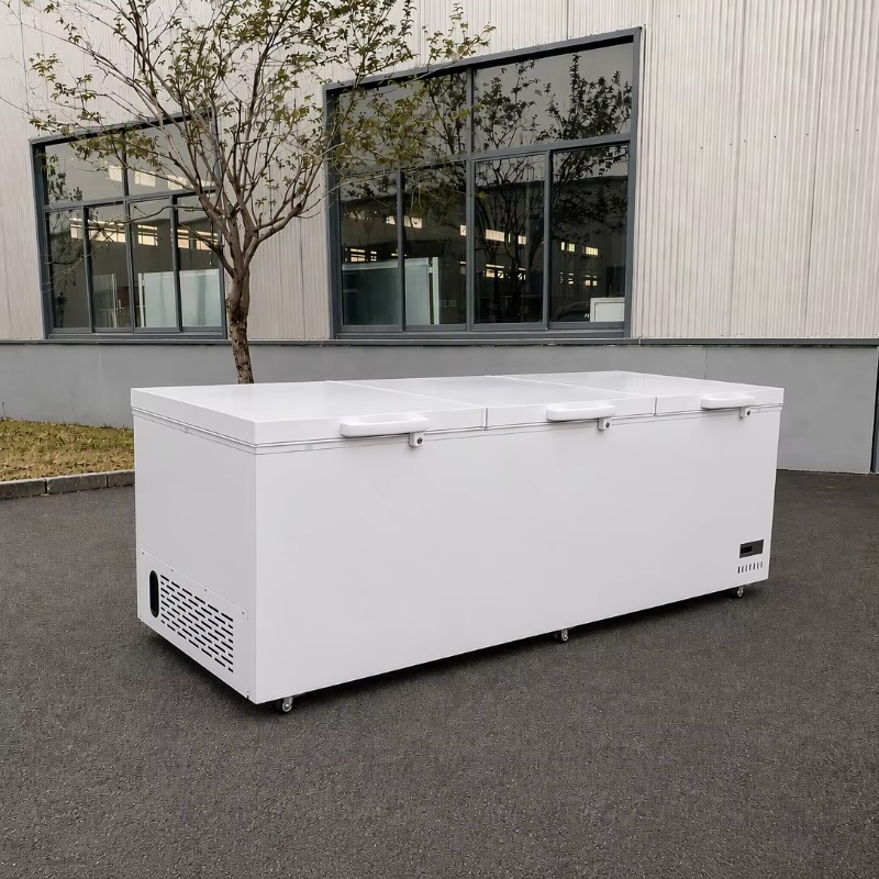 Stainless Steel Material Super - огляд і ціна Commercial Chest Freezer