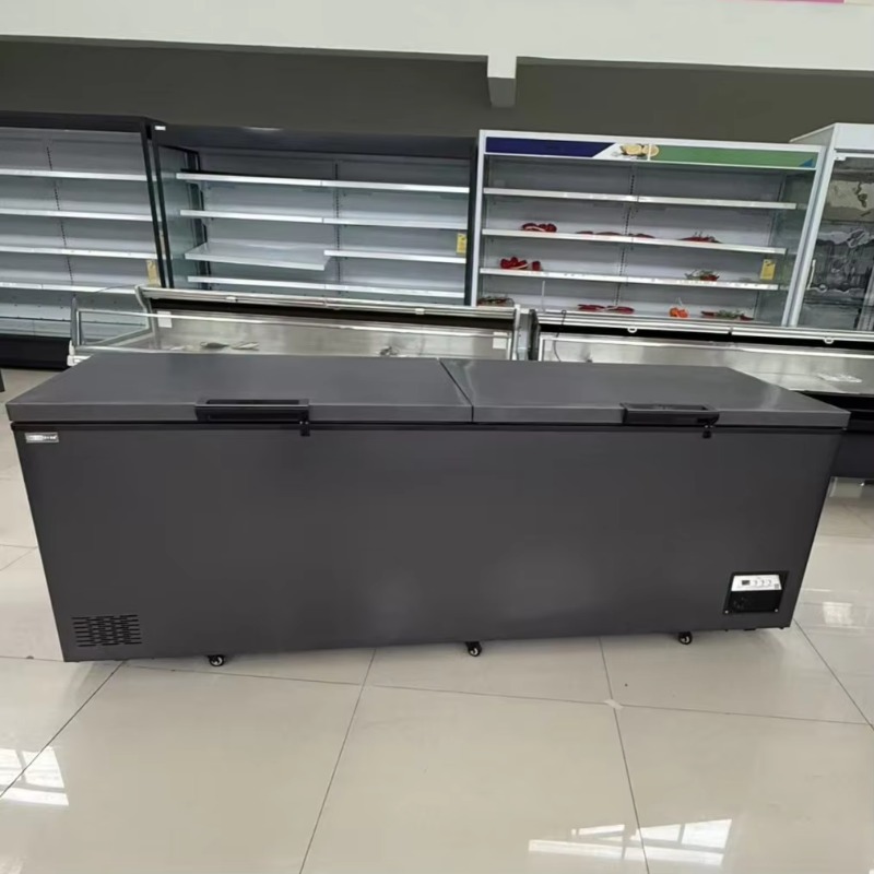 Commercial Double Door Horizon - огляд і ціна Commercial Chest Freezer