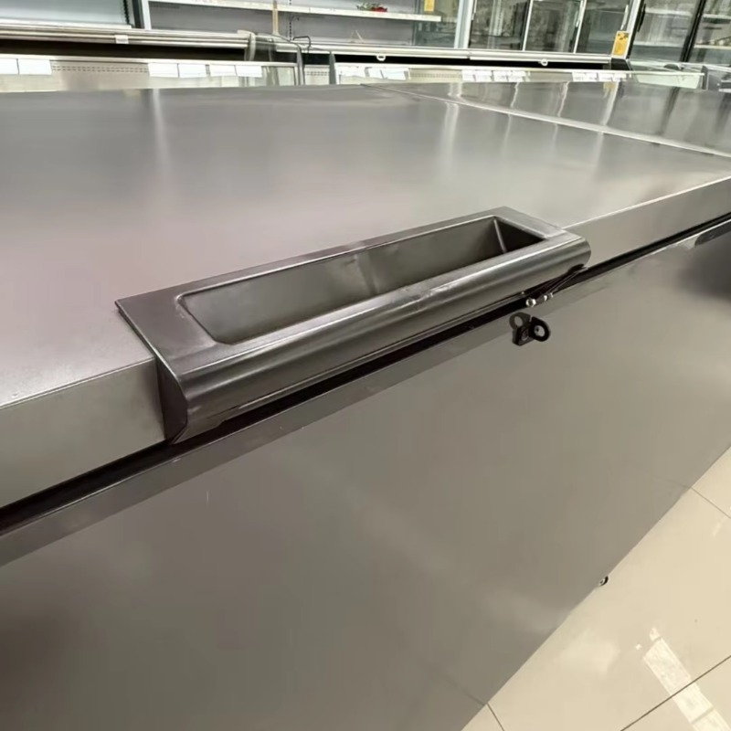 Commercial Double Door Horizon - огляд і ціна Commercial Chest Freezer